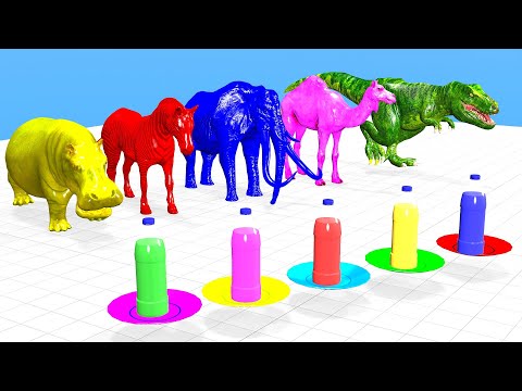 Select The Right Color Bottle Game with Elephant, Gorilla, Hippo ,T-Rex Zebra, Camal
