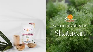 Discover Shatavari: The Ultimate Rejuvenative Herb 🌿