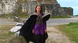 Four strong Winds  --- Mexican Joe Walker