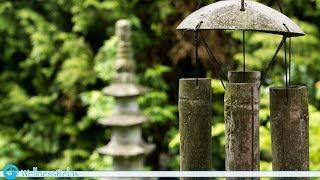 Music for Meditation and Relaxation | Feng Shui, Tao and Yin and Yang Music