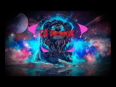 DJ XeoniX Remix Shake It & Re Cue vs. Eucer - Love & Vinne - Po De Anjo