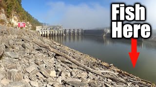 How to Catch Skipjack at the Dam - Fishing For FUN and BAIT!!