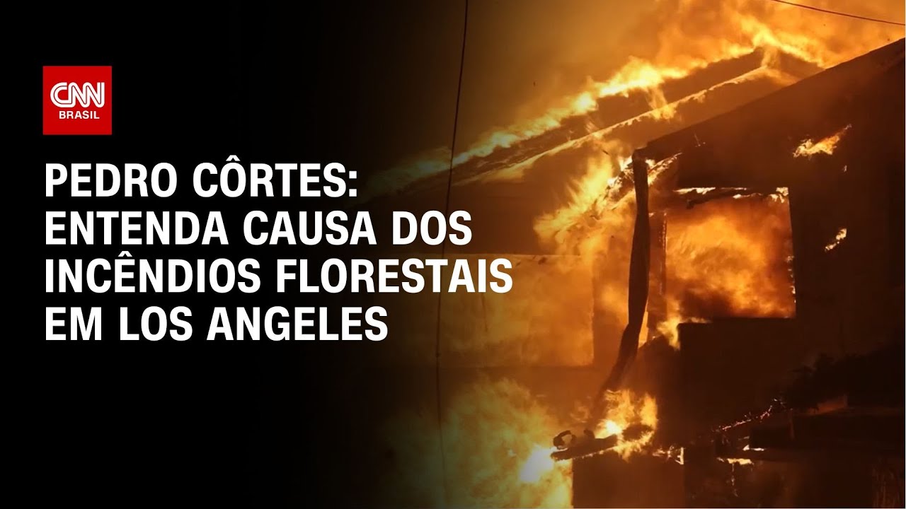 Pedro Côrtes: Entenda causa dos incêndios florestais em Los Angeles | CNN NOVO DIA