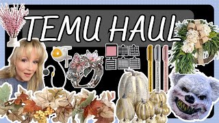 IS TEMU WORTH IT ANYMORE?  NEW TEMU HAUL VARIETY OF ITEMS PLUS REVIEW