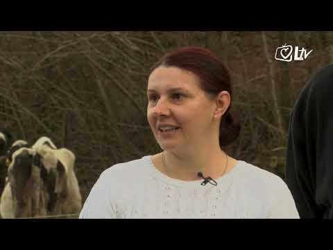 Blagoslovljen tek - Jajca s krumpirom i zubica s poljevom