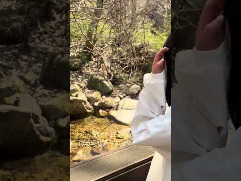 문경 충주를 잇는 하늘길 #하늘재 #걷기좋은길 #shorts