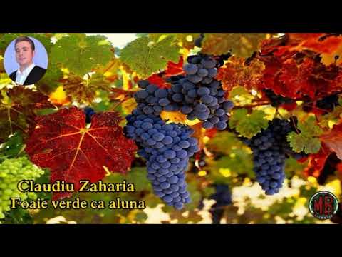 Claudiu Zaharia - Foaie verde ca aluna (Cover)