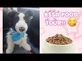 Essa Dog Food Tour