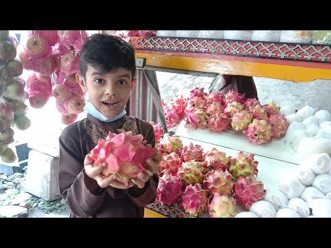 bule anak makan buah Naga dragon 🐉 fruit 🐉🐉🐉