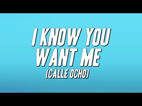 Pitbull - I Know You Want Me (Calle Ocho) [Lyrics]
