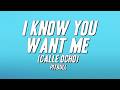 Pitbull I Know You Want Me Calle Ocho Lyrics