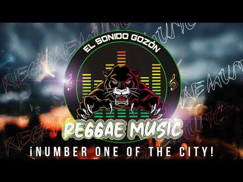 LEVANTA MUERTOS (Reggae Music City Medellín)🇯🇲🇯🇲🇯🇲