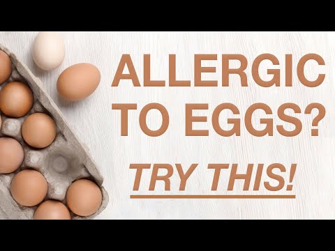 Egg Allergy Alternative