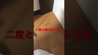 人間を舐めるな