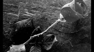 Olhos Fechados - Paralamas do Sucesso