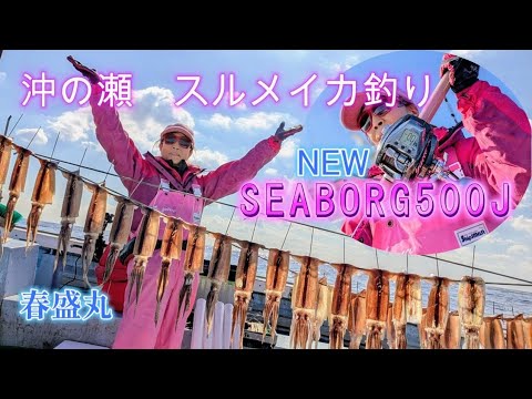 Fishing for Japanese flying squid in the offshore rapids with the DAIWA NEW26 Seaborg 500J