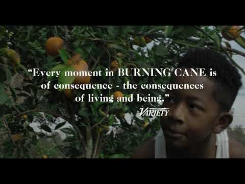 Burning Cane (Trailer)