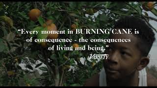 ARRAY's BURNING CANE Official Trailer | Directed by Phillip Youmans