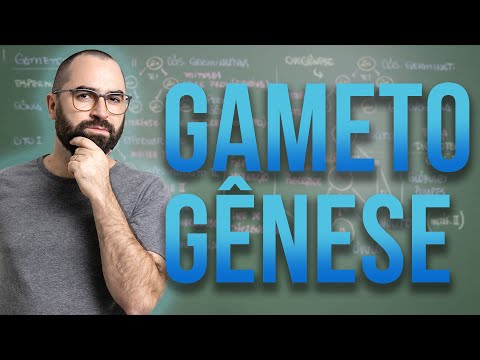 Gametogênese - Aula 34 - Módulo I: Biologia Celular | Prof. Gui