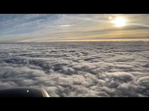 Flight 2184 Aa