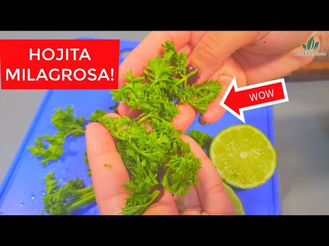 🟥 Cuando Mezclas Perejil con Limón Esto Pasará 5 Minutos Después de Tomarlo 😲