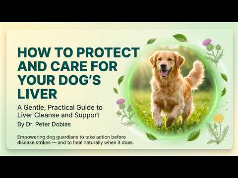 How to Support Your Dog's Liver Health Naturally