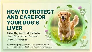 How to Support Your Dog's Liver Health Naturally