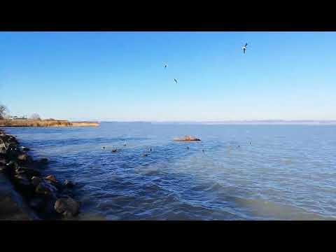 Siófok Ezüstpart - 2022. 02. 12. - 09:26:53