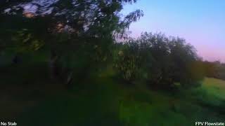 Quick side by side test FPV Flowstate vs No stabilization. Insta360 Go 2, no ND, low light.