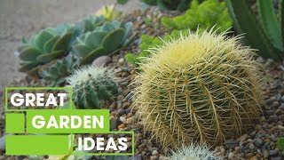 How to Create a Succulent Garden | Gardening | Great Home Ideas