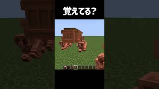 これ覚えてる?【マインクラフト】