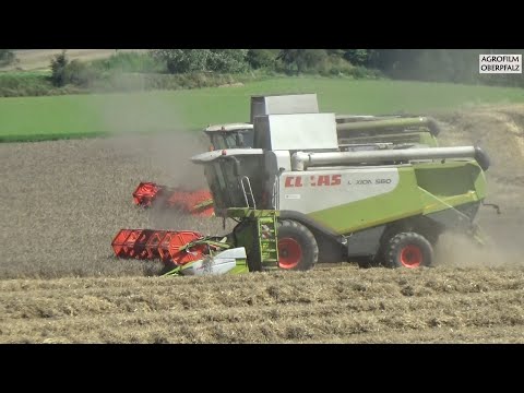 Endspurt Dreschen `23 - Claas Lexion 740 und 560 geben alles - Landwirtschaftl. Lohnbetrieb Zollner