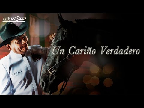 Un Carinito Verdadero - Aries Vigoth