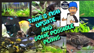 Tank and fish updates