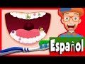 Canción Cepilla Tus Dientes Por Blippi 2 Minutos Cepilla Tus Dientes Para Niños