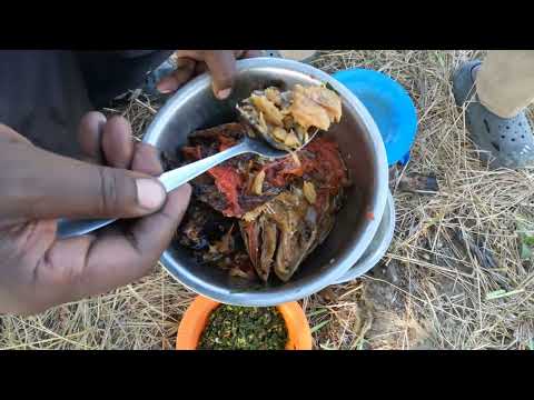 Prayer before a Good home stead Meal of Nshima, Fish, and Vegetable Lunch at Mokambo