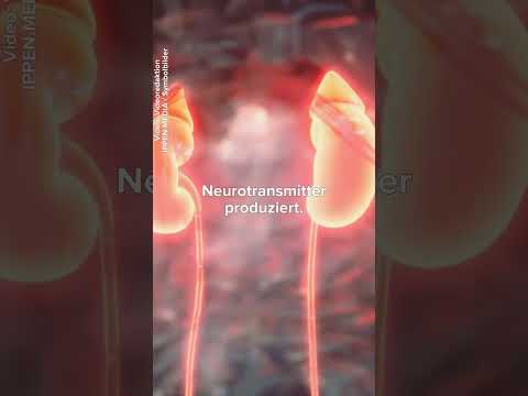 Was ist #Noradrenalin