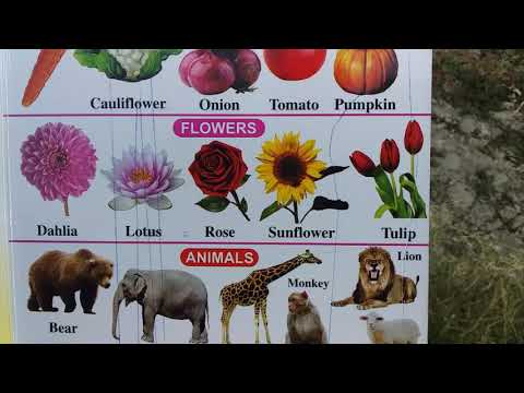 Naseema bano- Class 1st- Subject  English- Topic Flowers and Animals