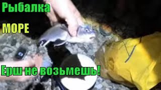 Ссылка