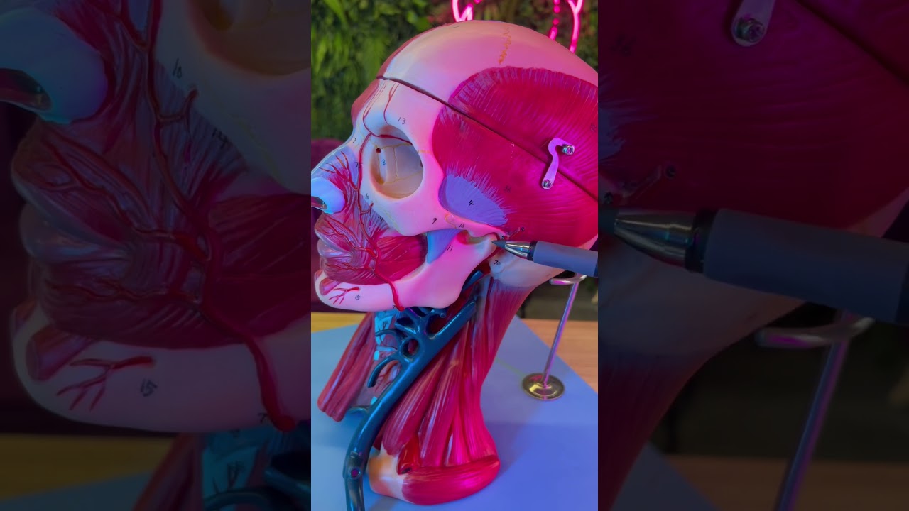 Aprigio Zangerolami-10