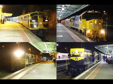 THNSW/SRHC Cruise Express Charter with 4204 and GL102, and T357 and T378 at Seymour- 23/4/17