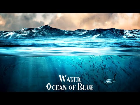 Atom Music Audio 🌊 Water (Ocean of Blue) | Full Album | Epic Nature
