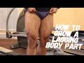 How to Grow a Lagging Body Part