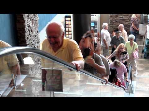 BoxGuts - I'm on Beer