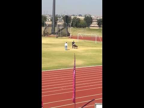 Mike seddon protexion 91 point's nationals  2015