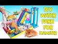 REAL HAMSTER JOYS Cardboard Water Park With Entertainment