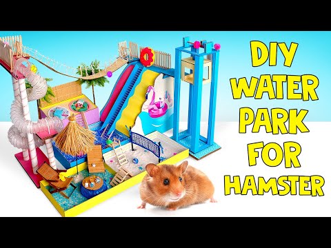 REAL HAMSTER JOYS || Cardboard Water Park With Entertainment!