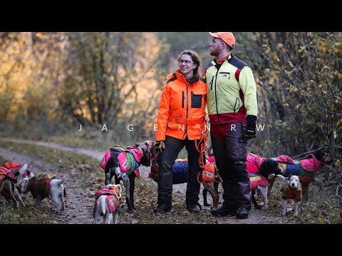 30 Hunde im Haus? – Besuch bei der Sauhund-Meute – die ersten 5 Minuten Hunt on Demand