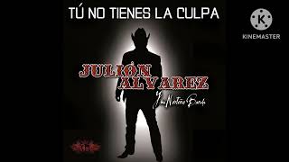 Julión Álvarez y su Norteño Banda - Tú No Tienes La Culpa (Audio)
