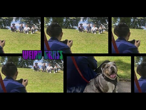 Weird Grass- THE APEHOUSE (MUSIC VIDEO)